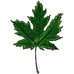 Leaves Embroidery Design 12 Leaves Embroidery Design 12